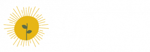 Solo Terra